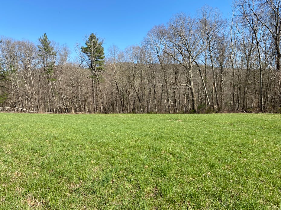 198-2 Beebe Hill Road Photo 7