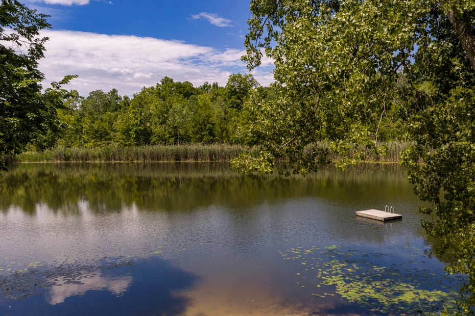 119 Fern Hill Road Photo 44