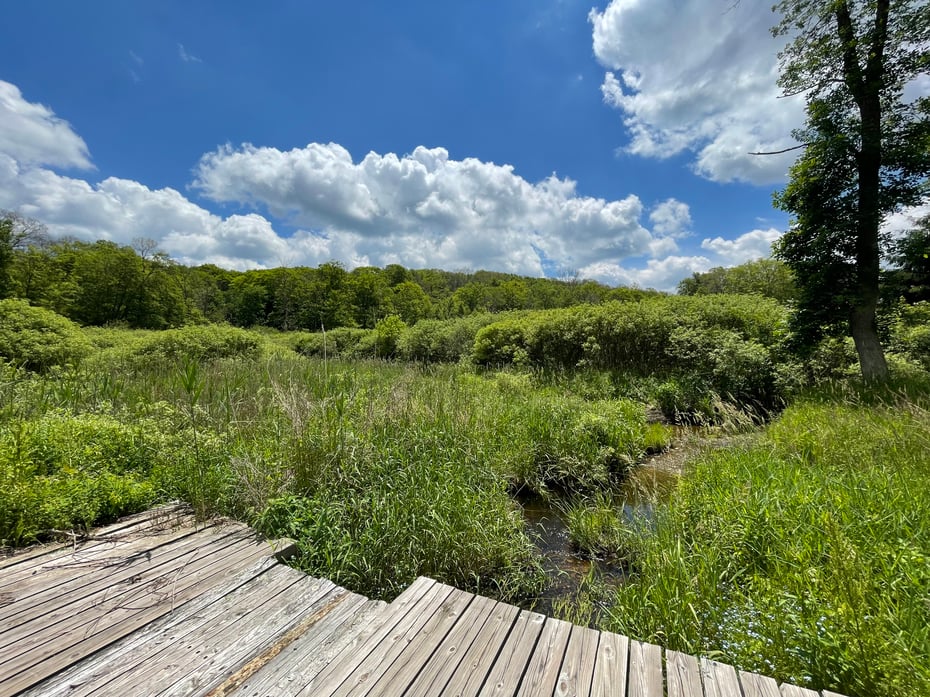 44 Keeler Road Photo 20