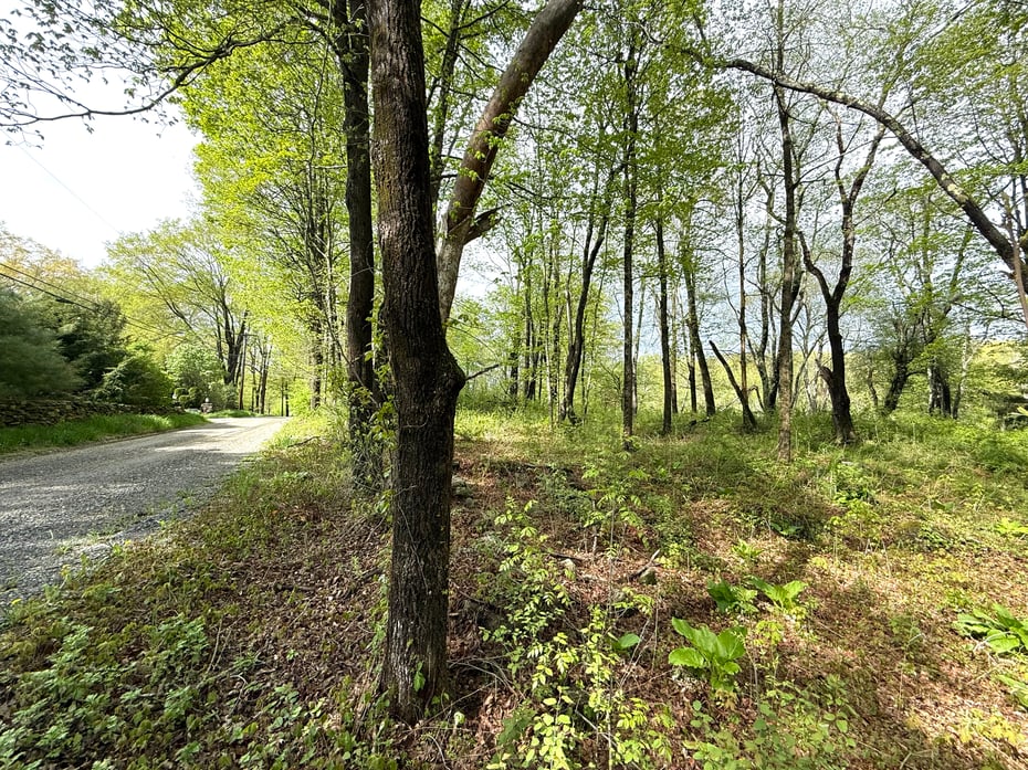 44 Keeler Road Photo 25