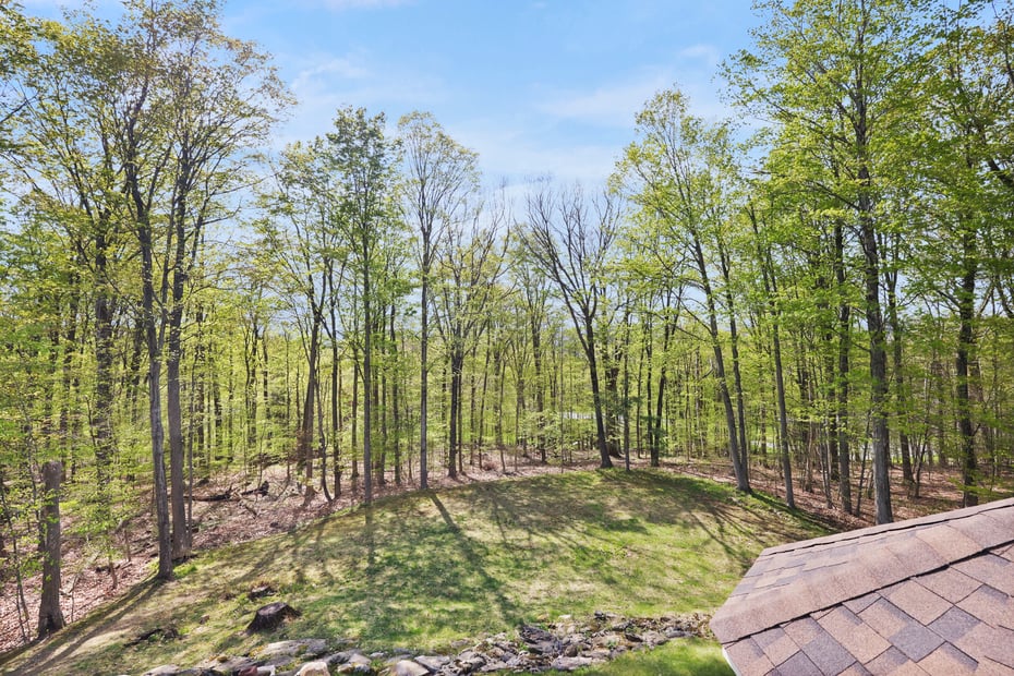 97 Elmore Dr Photo 28