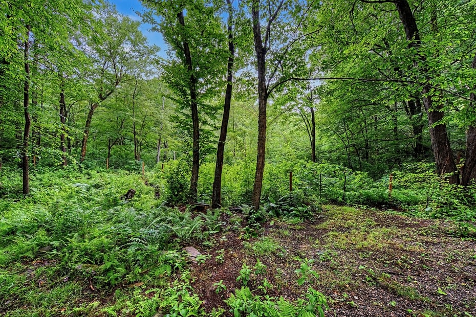 216 Reservoir Road Photo 9