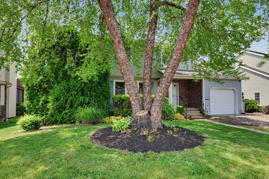 275 York Street Photo 3