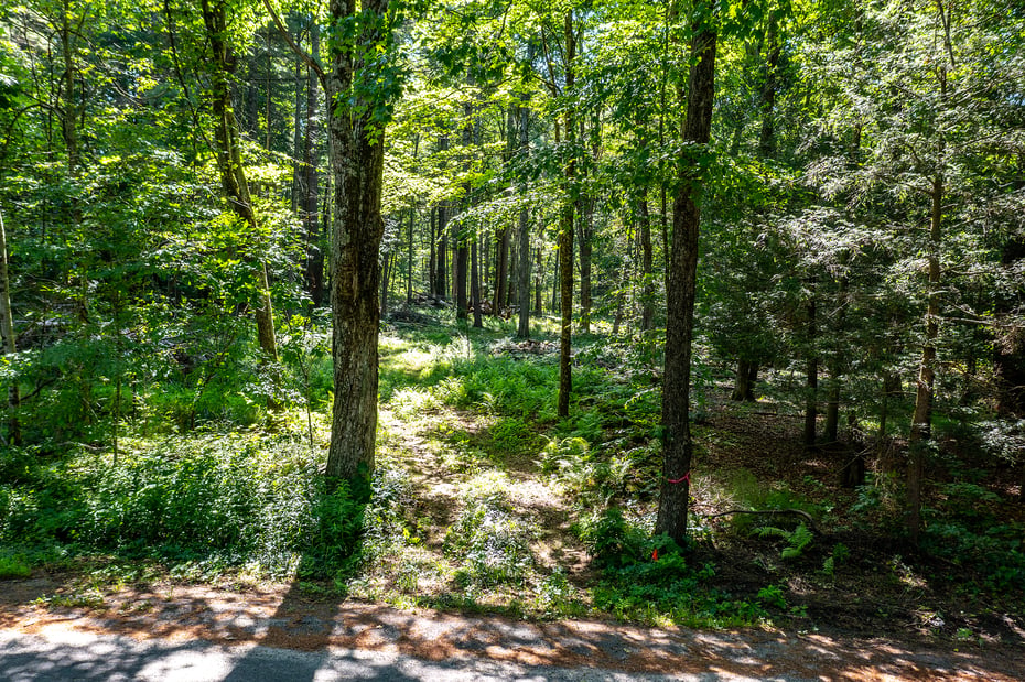 00 Great Hollow Road Photo 3