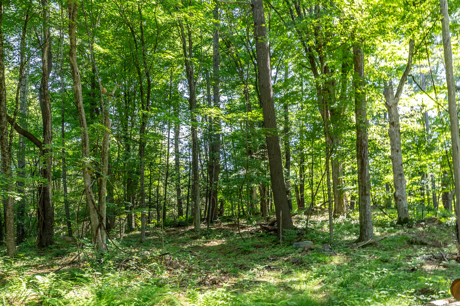 00 Great Hollow Road Photo 5