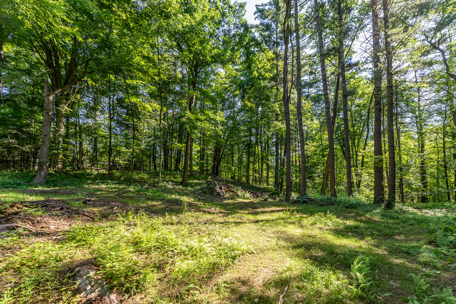 00 Great Hollow Road Photo 6