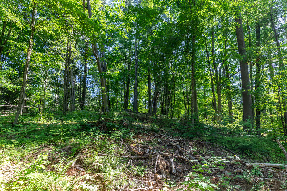 00 Great Hollow Road Photo 7