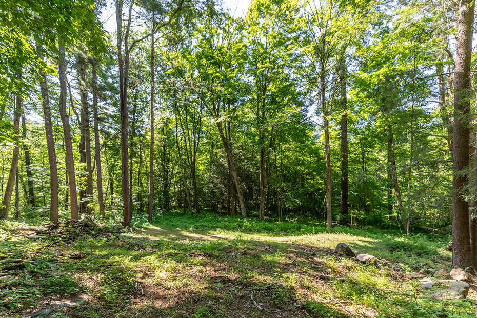 00 Great Hollow Road Photo 8