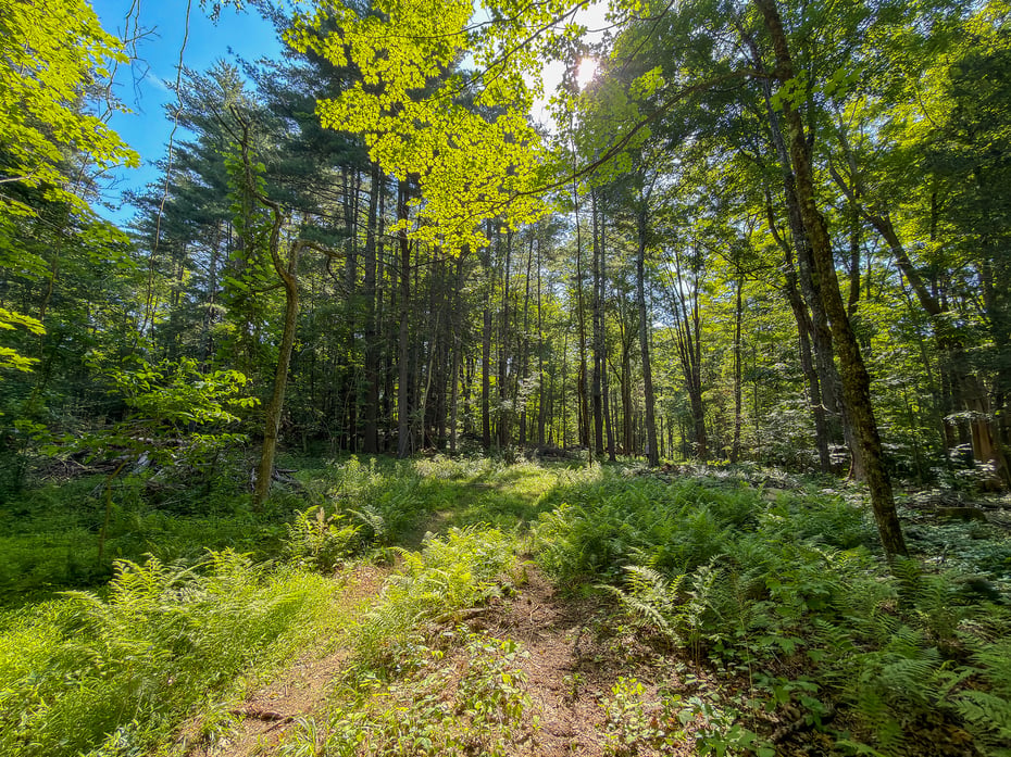 00 Great Hollow Road Photo 9