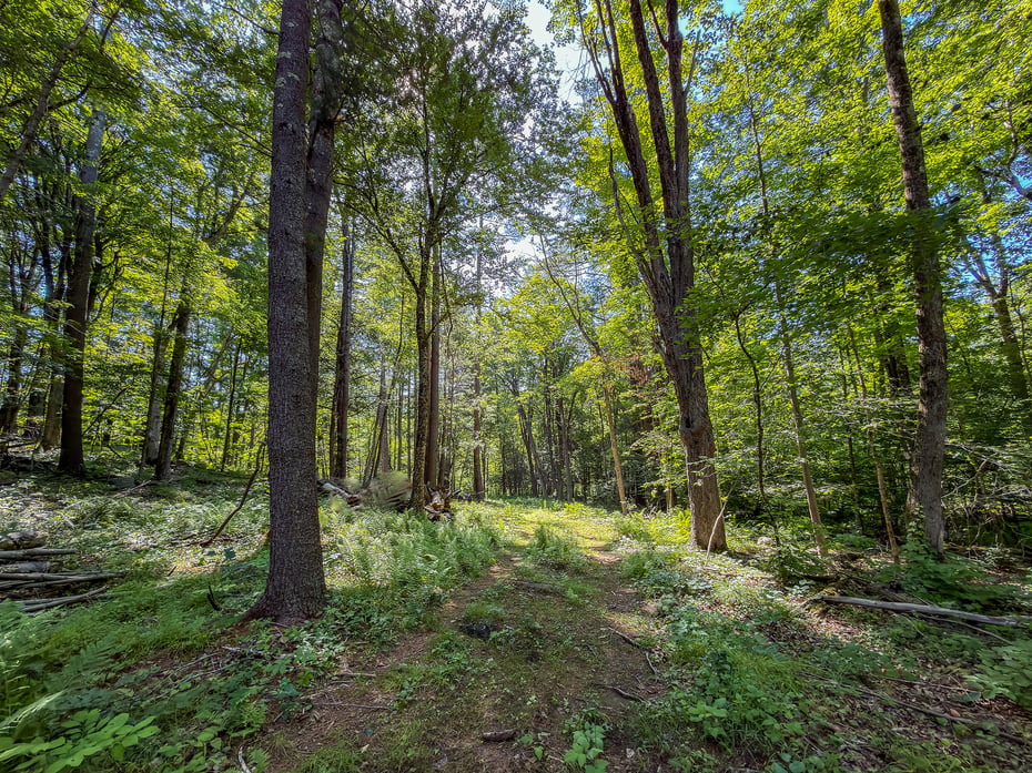 00 Great Hollow Road Photo 10