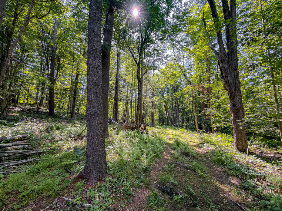 00 Great Hollow Road Photo 11