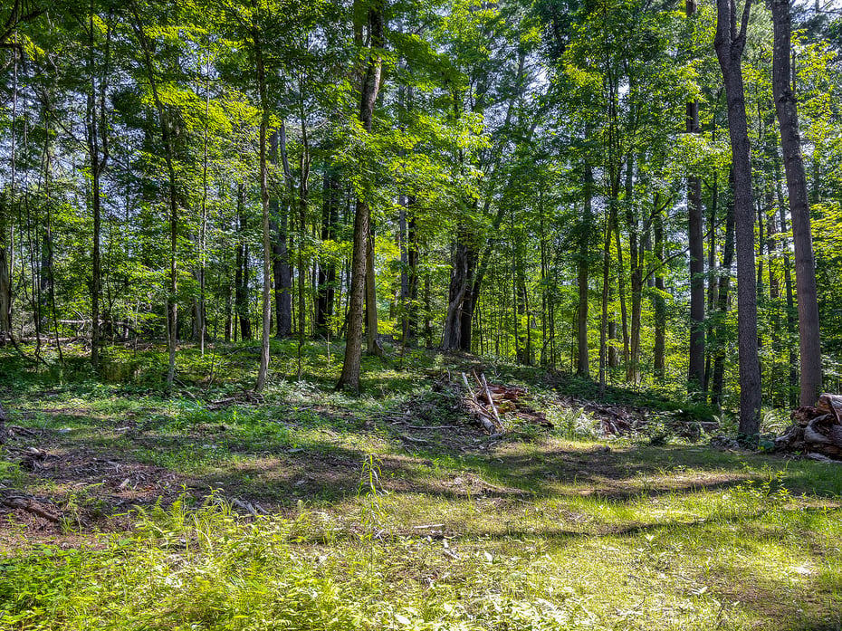 00 Great Hollow Road Photo 12