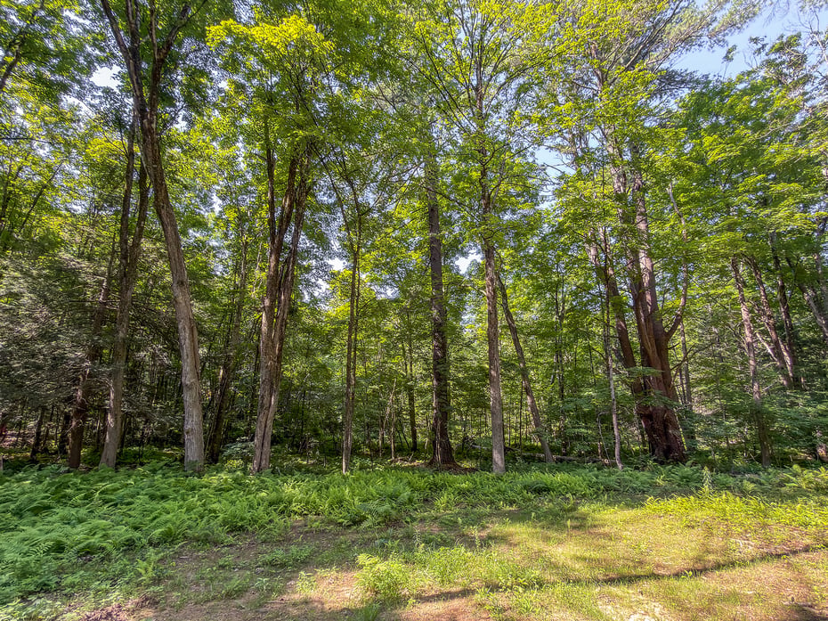 00 Great Hollow Road Photo 14