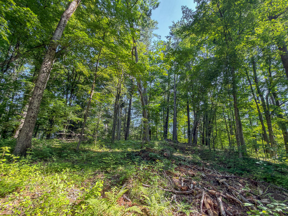 00 Great Hollow Road Photo 15