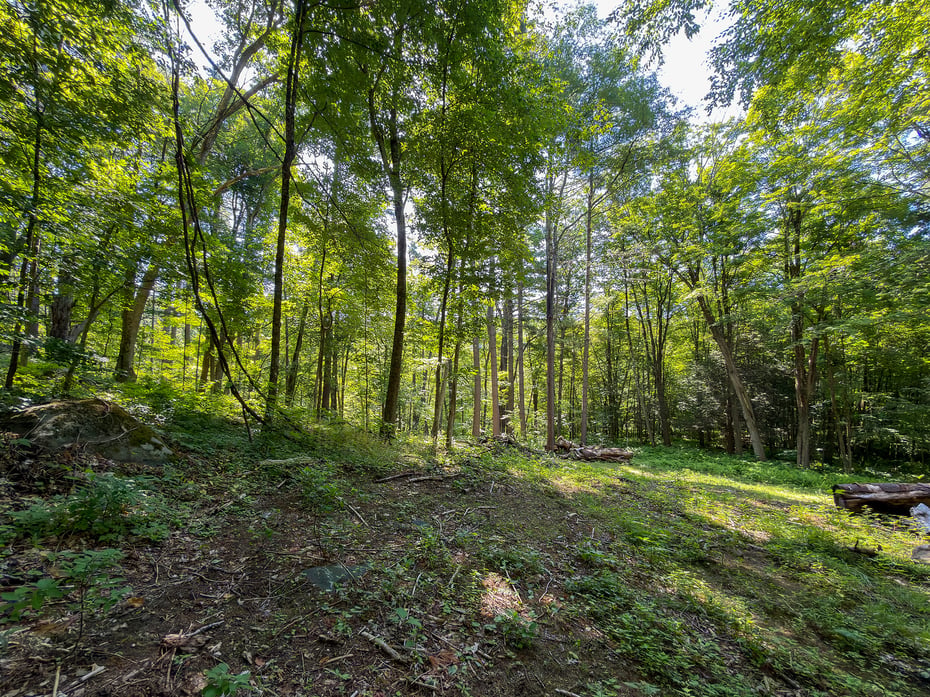 00 Great Hollow Road Photo 16