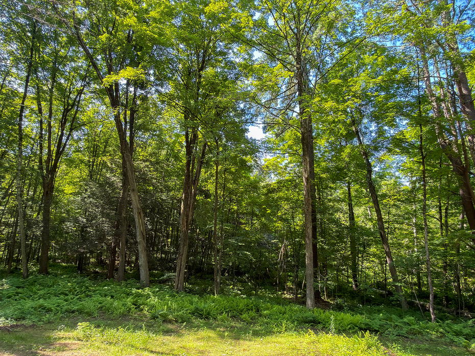 00 Great Hollow Road Photo 17