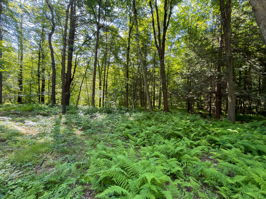 00 Great Hollow Road Photo 19