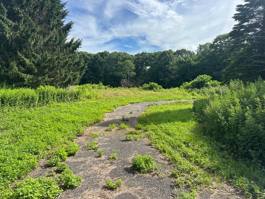 Morris Land Photo 5