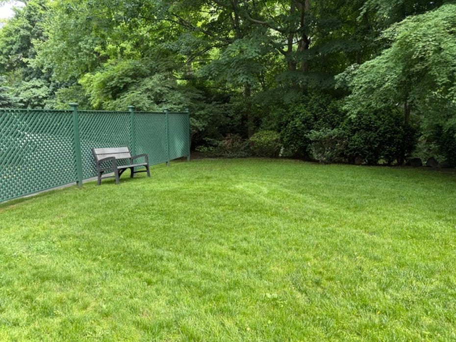20 Alden Place  #1 Photo 18
