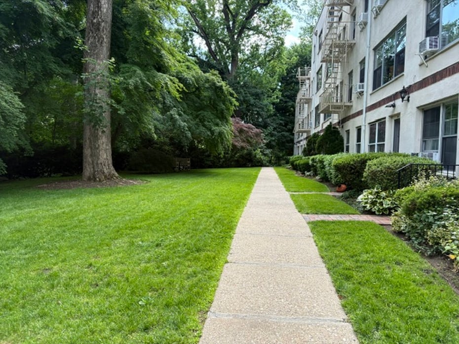 20 Alden Place  #1 Photo 17