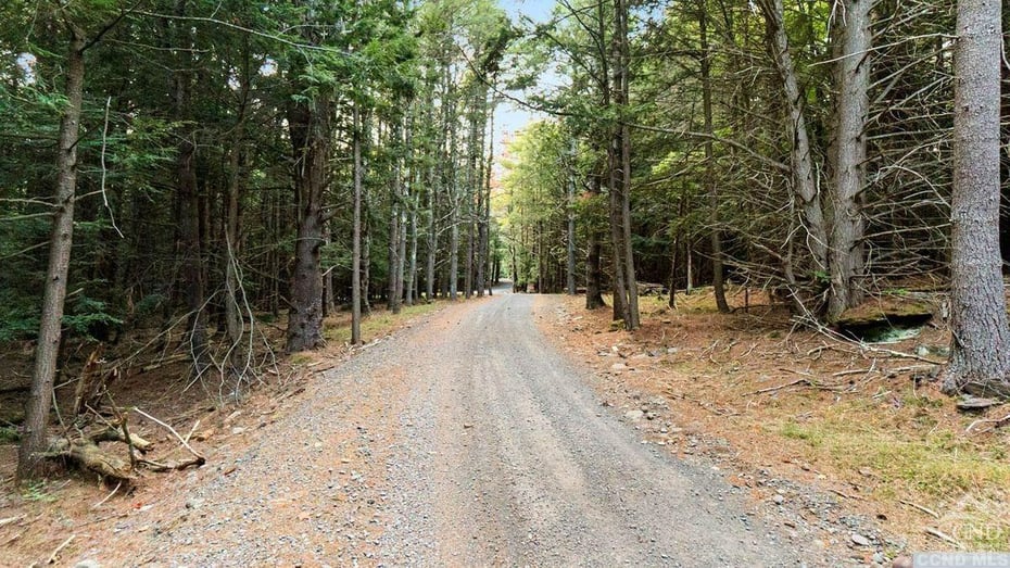 85 Conifer Lake West Rd. Photo 19