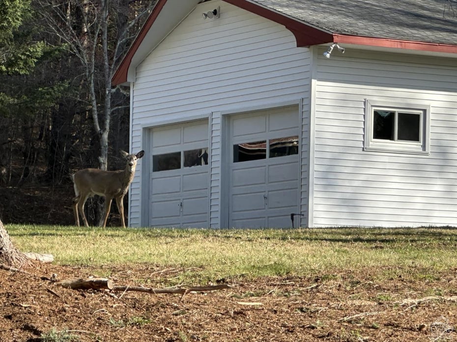 3859 County Route 9 Photo 3
