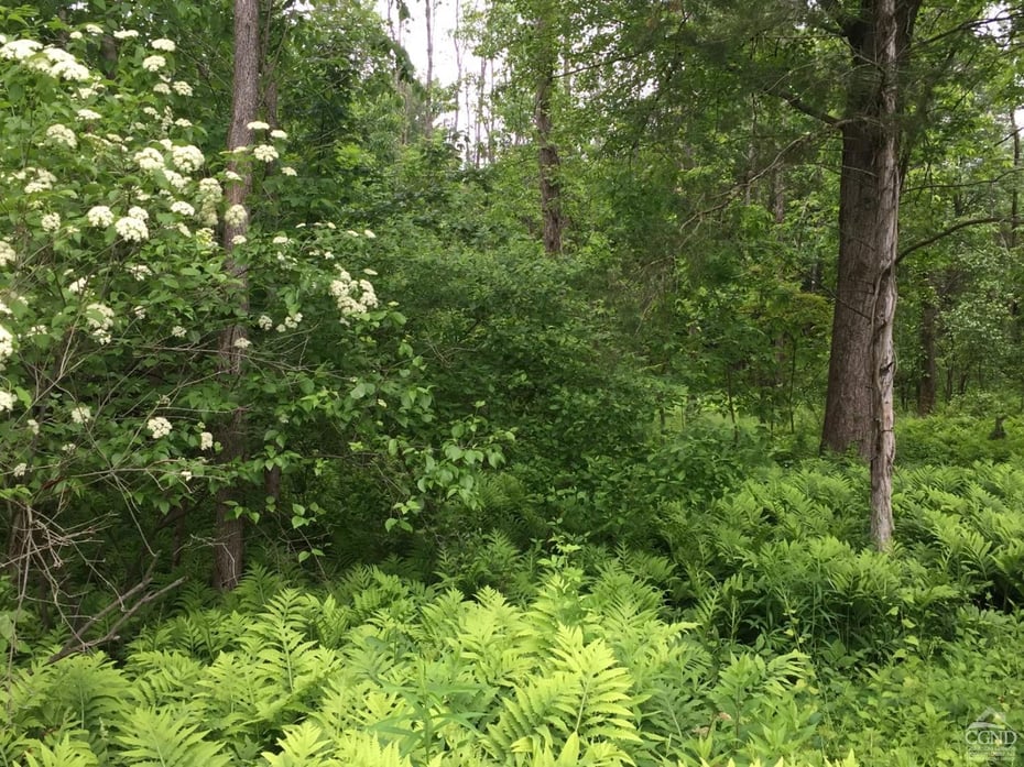 352 Round Top Rd Photo 37
