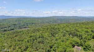 390 Tamaridge Rd Photo 16