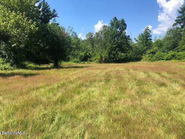 390 Tamaridge Rd Photo 25