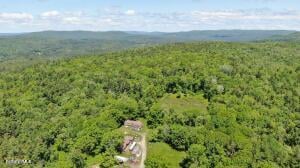 390 Tamaridge Rd Photo 13