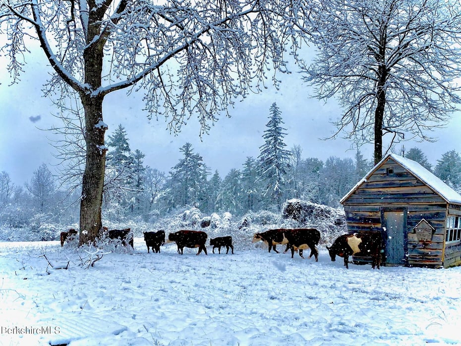 390 Tamaridge Rd Photo 31