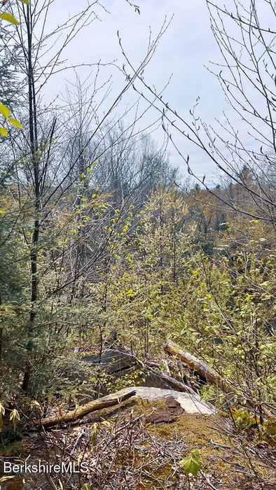 58 Stanley Rd Photo 4