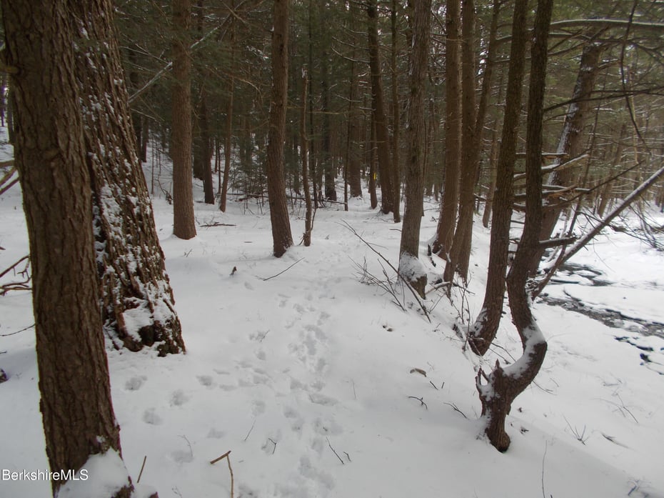 159 Simmons Rd Photo 6