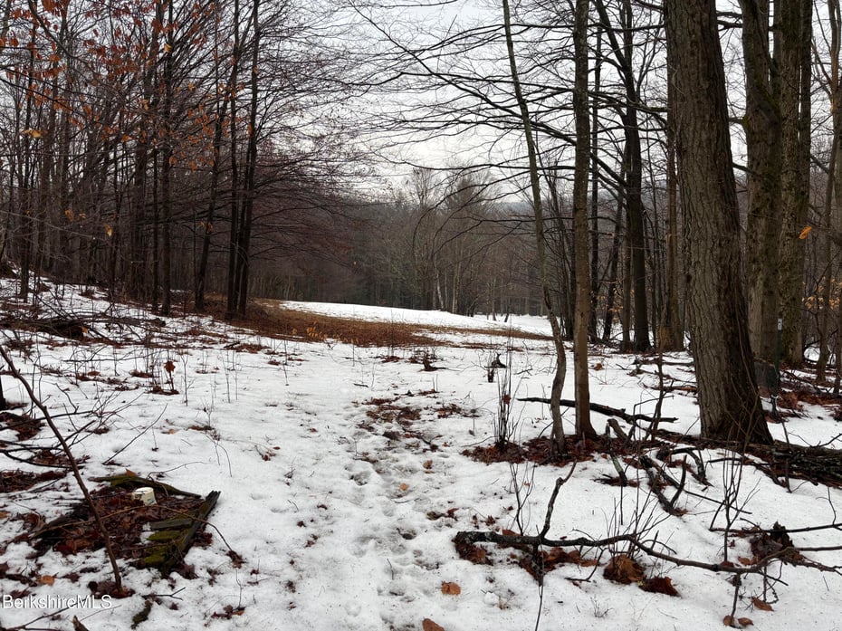 159 Simmons Rd Photo 3