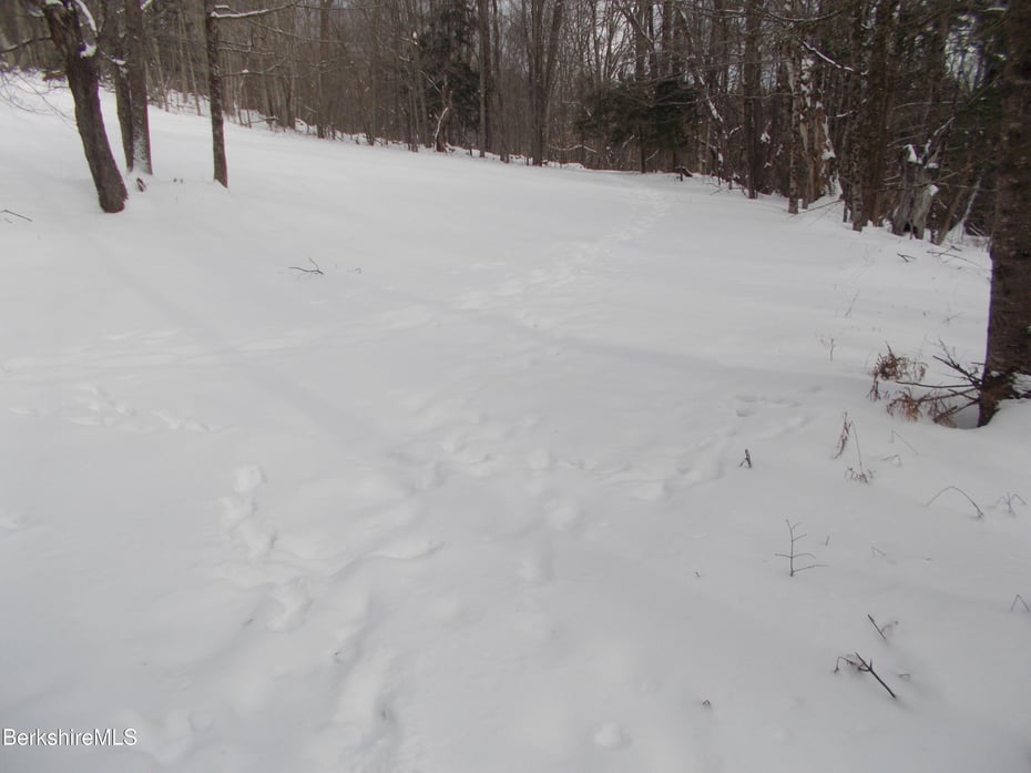 159 Simmons Rd Photo 10