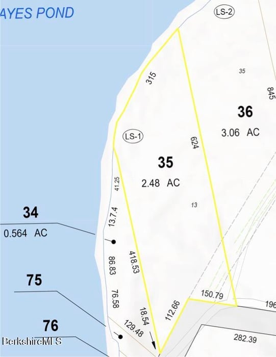 13 Hayes Pond Rd Photo 53