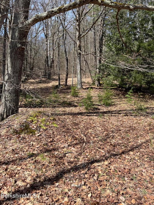 427 West Rd Photo 5