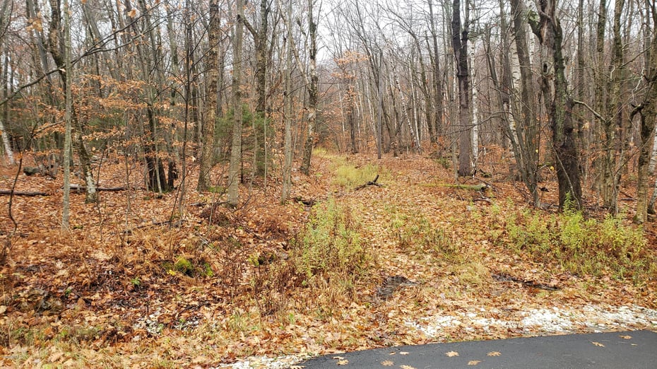 0 Stryker Rd Photo 3