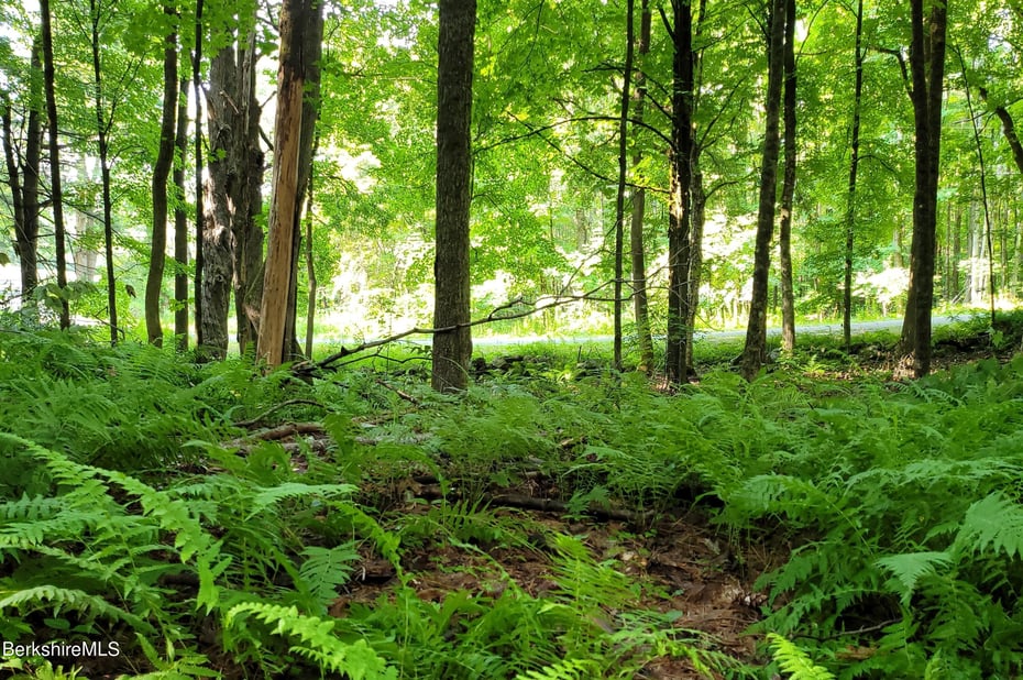 Lot 2B Leland Rd Photo 3