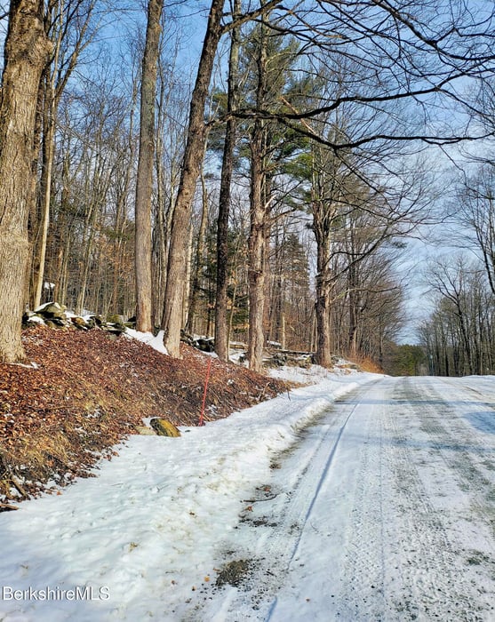 Lot 2B Leland Rd Photo 8