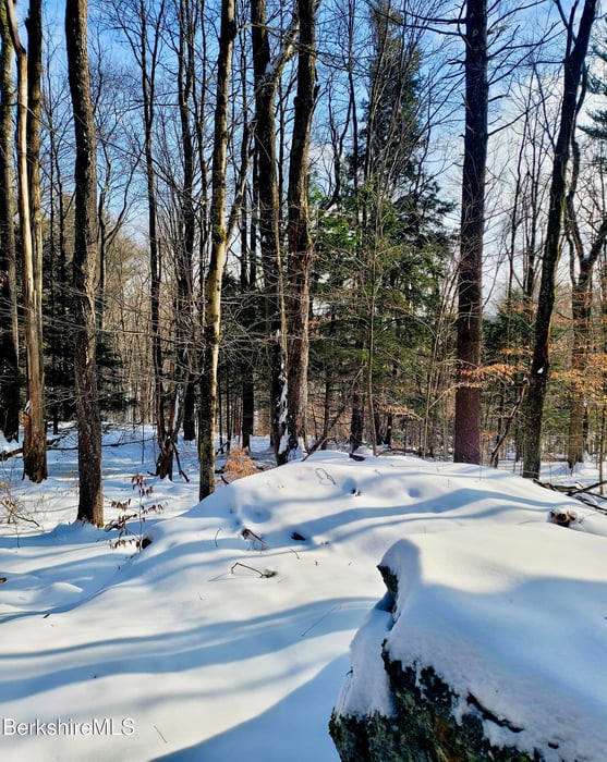 Lot 2B Leland Rd Photo 11