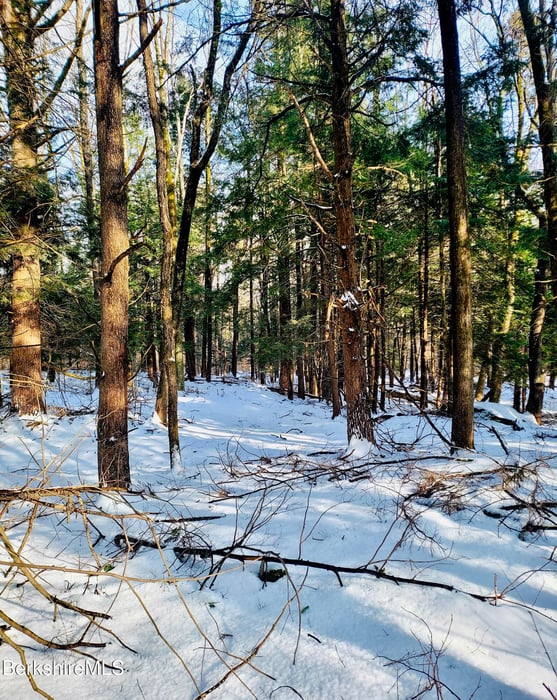 Lot 2B Leland Rd Photo 16