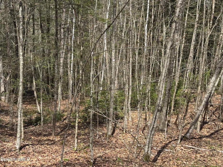 141 Stage Rd Photo 21