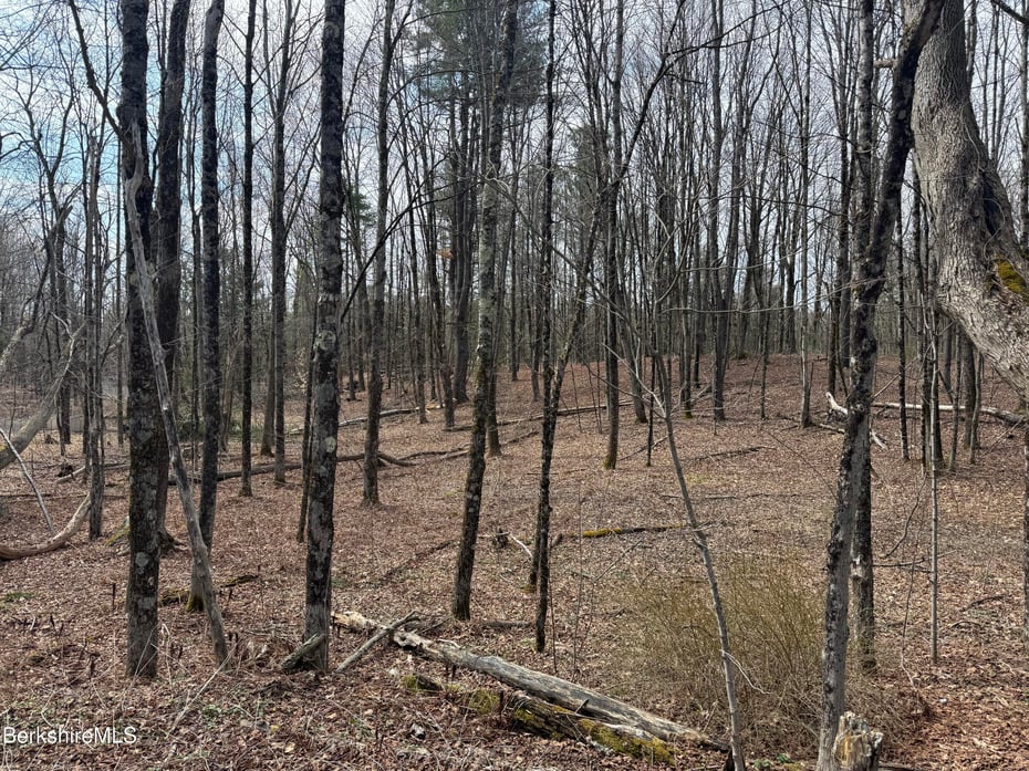 0 George Schnopp Rd Photo 4