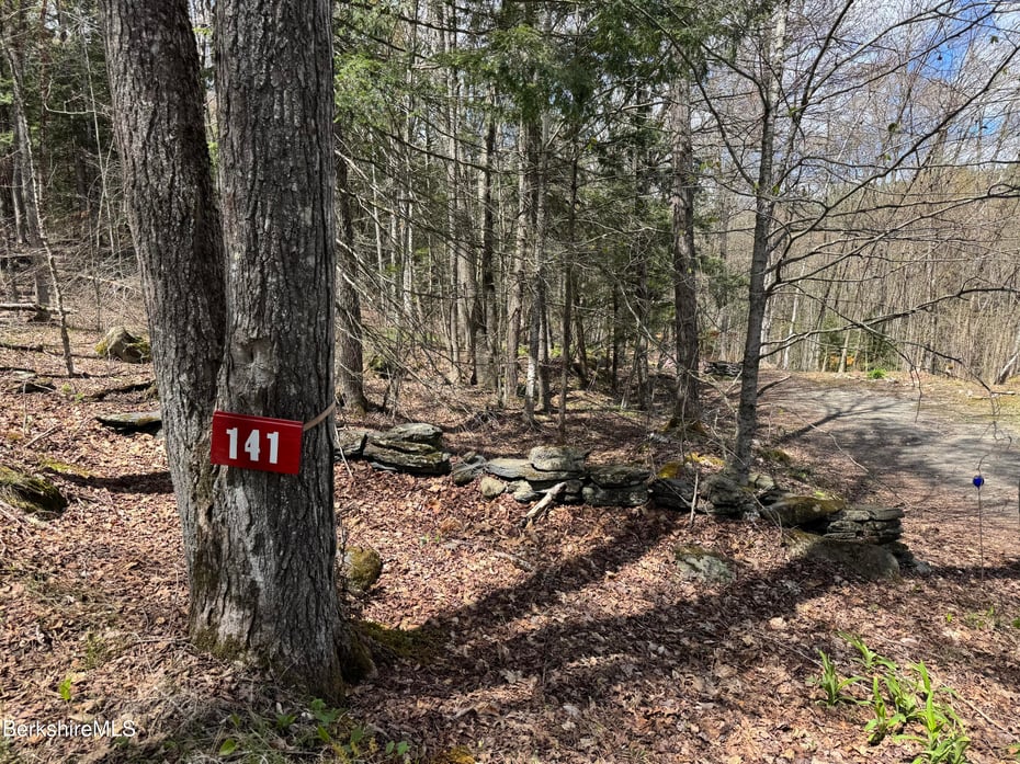 141 Stage Rd Photo 3