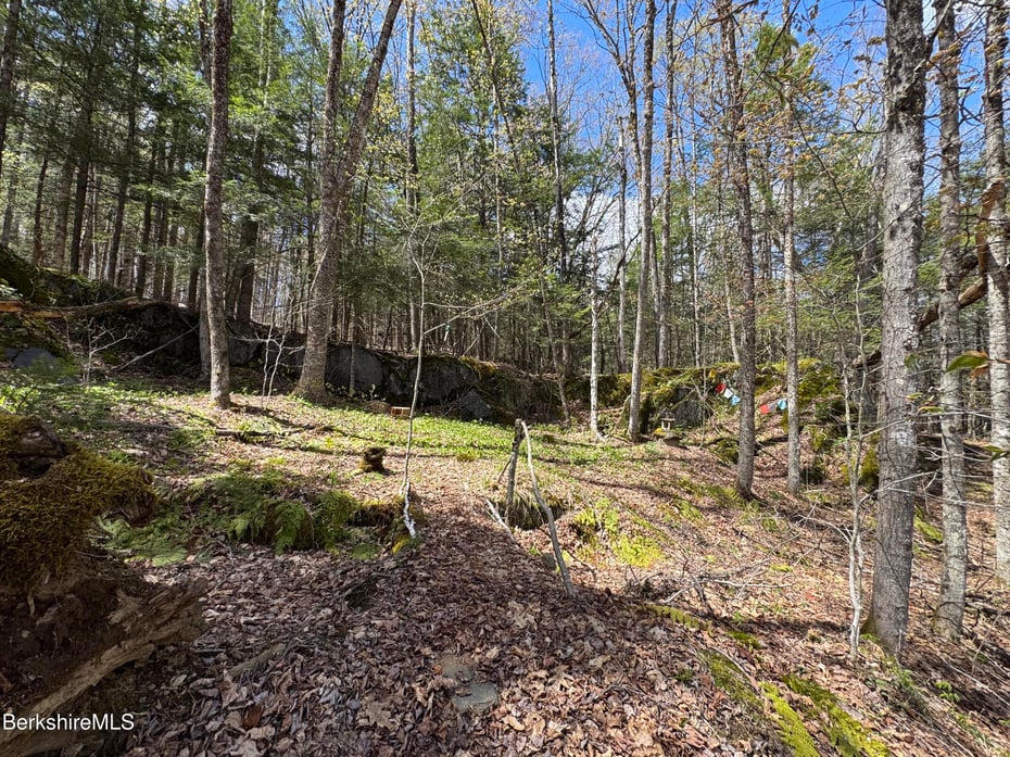 141 Stage Rd Photo 10