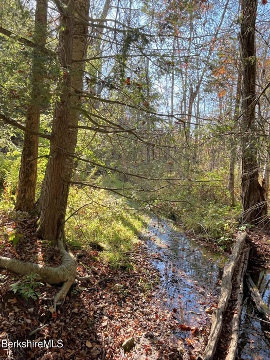 1020 Cascade St Photo 65