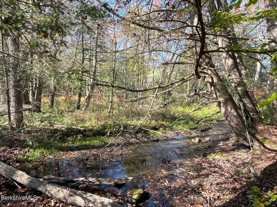 1020 Cascade St Photo 66