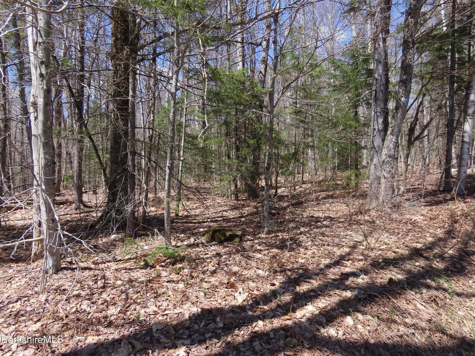 Blackstone Rd Photo 5