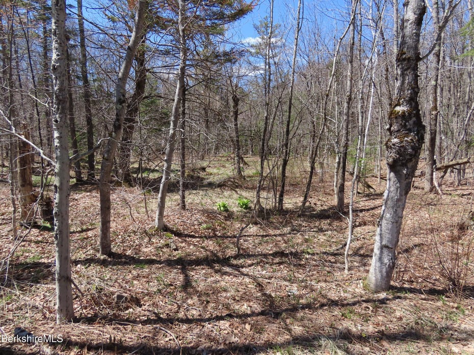 Blackstone Rd Photo 14